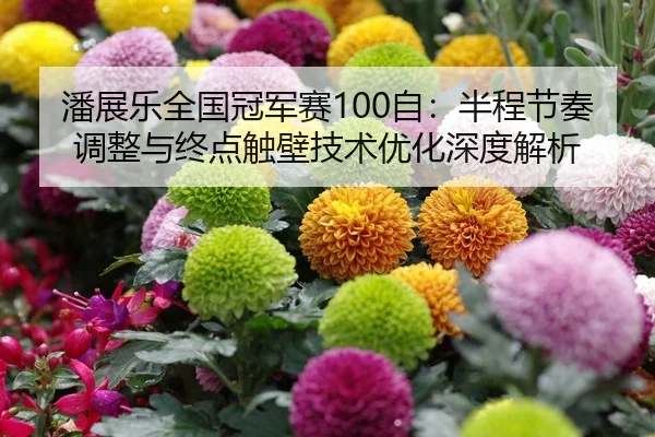 潘展乐全国冠军赛100自：半程节奏调整与终点触壁技术优化深度解析