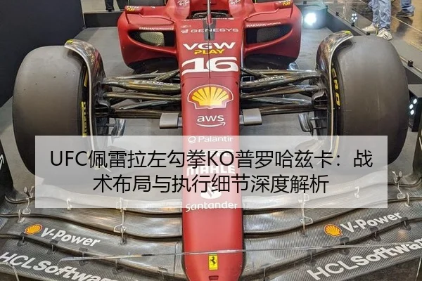 UFC佩雷拉左勾拳KO普罗哈兹卡：战术布局与执行细节深度解析